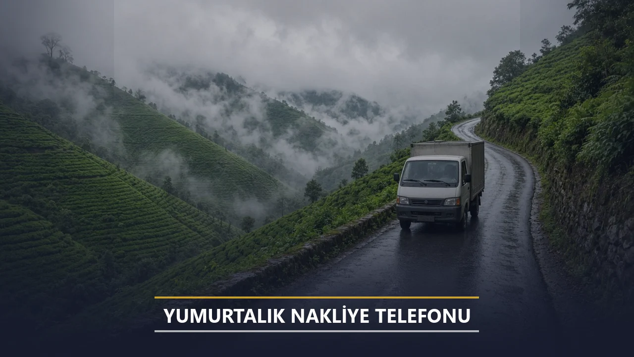 Yumurtalık Nakliye Telefonu